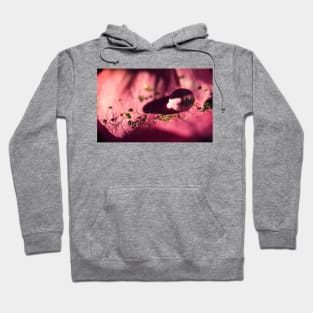 Glitterball Bougainvillea Hoodie